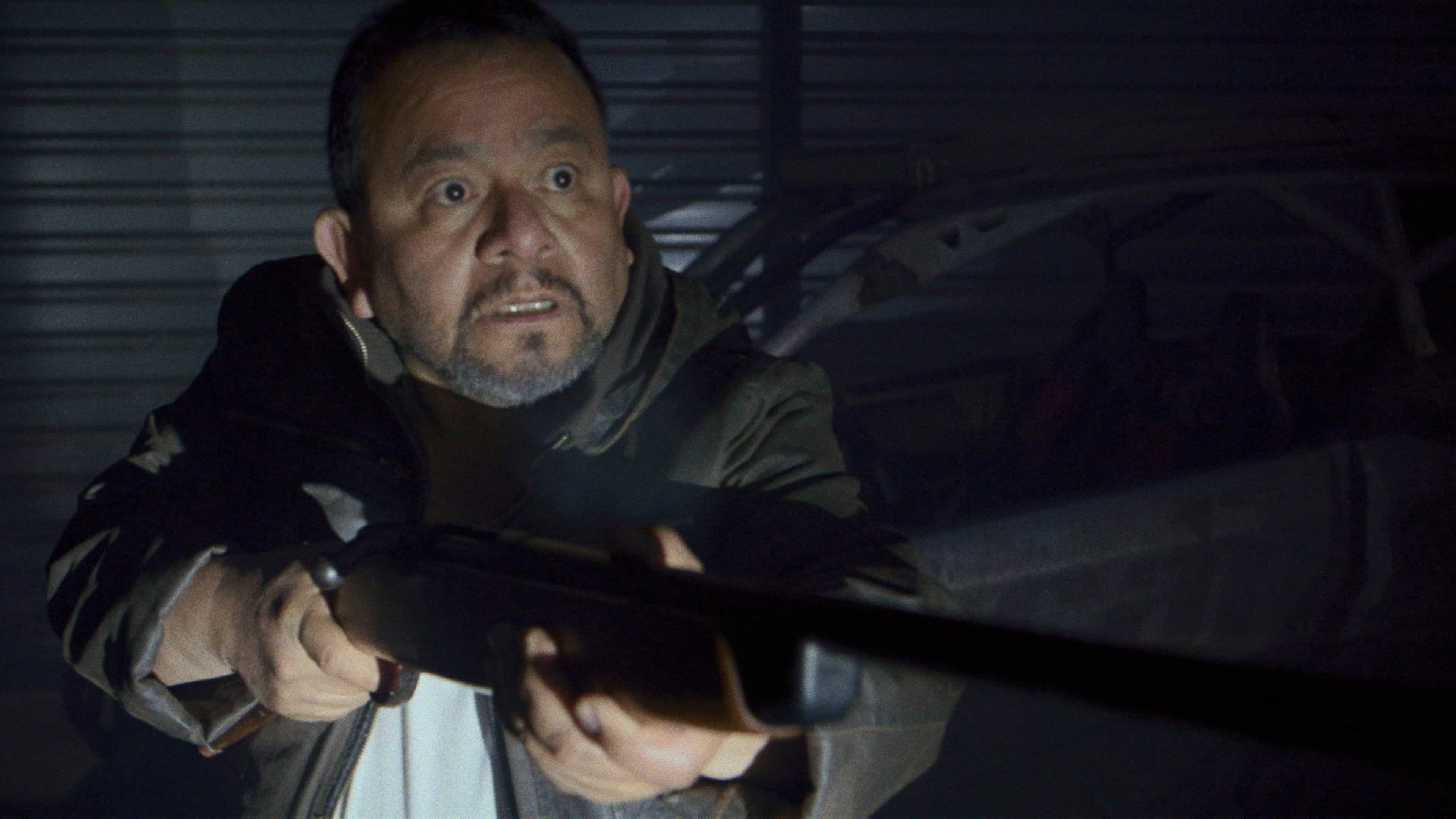 Los gorriones vuelan de noche