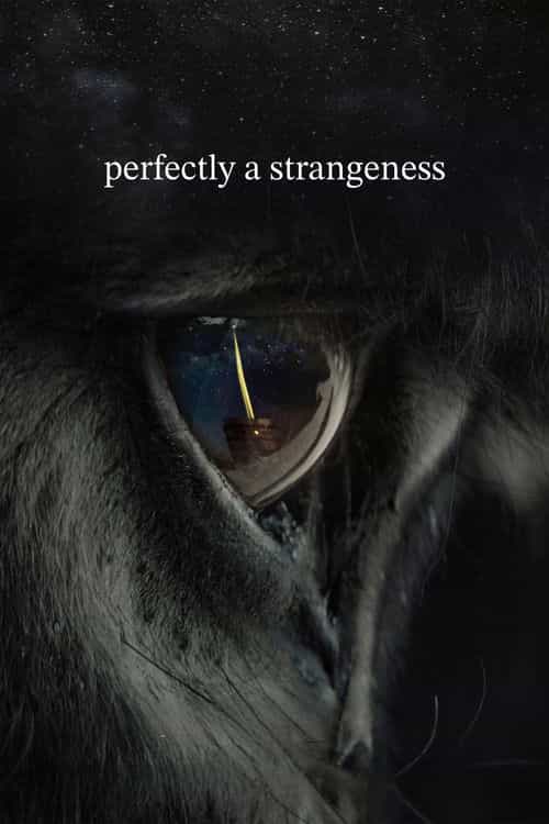Perfectly a Strangeness