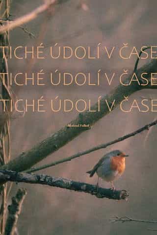 Tiché údolí v čase